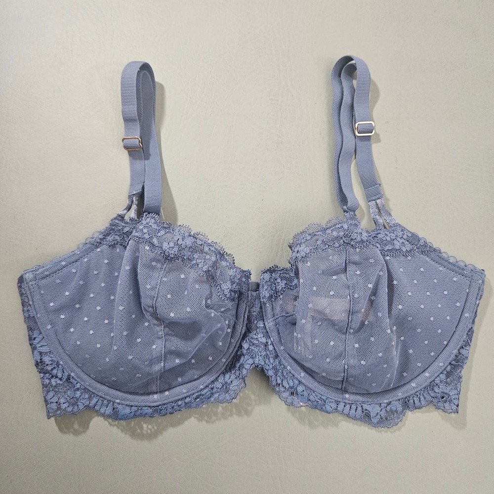 Victoria's Secret Dream Angels Blue Swiss Dot Lace Push-Up Bra 34DD